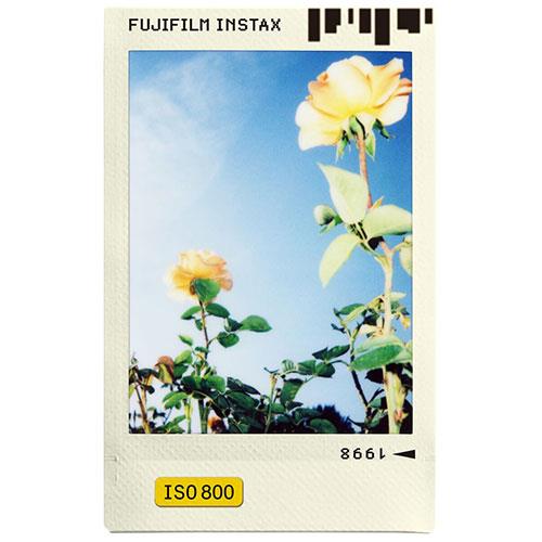 Fujifilm Instax Mini "Photo Slide" (10/PK)
